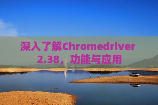深入了解Chromedriver 2.38，功能与应用