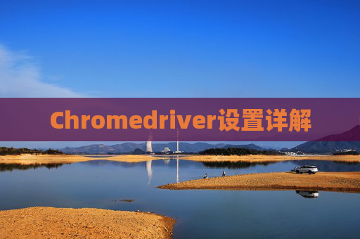 Chromedriver设置详解 Chromedriver设置详解