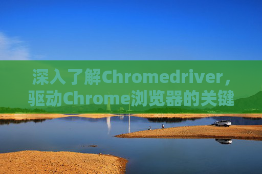 深入了解Chromedriver，驱动Chrome浏览器的关键工具