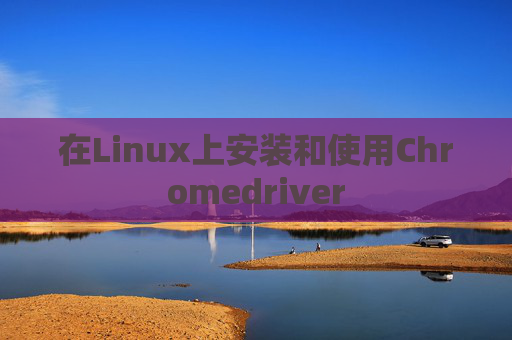 在Linux上安装和使用Chromedriver 在Linux上安装和使用Chromedriver